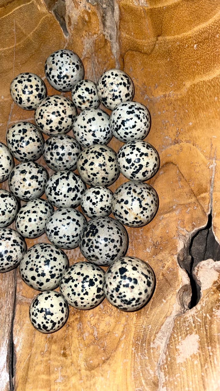 DALMATIAN JASPER