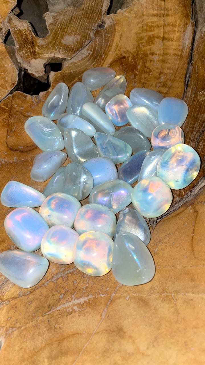 OPAL