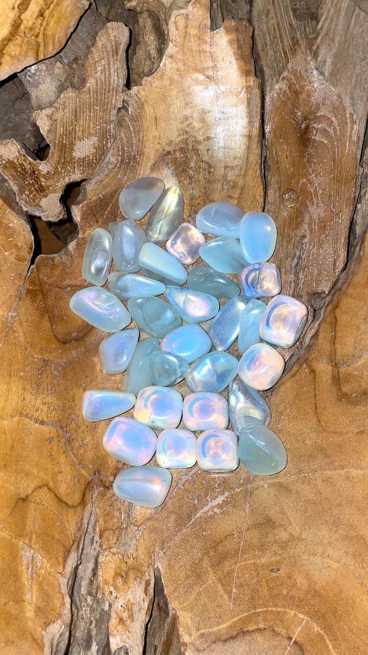 OPAL