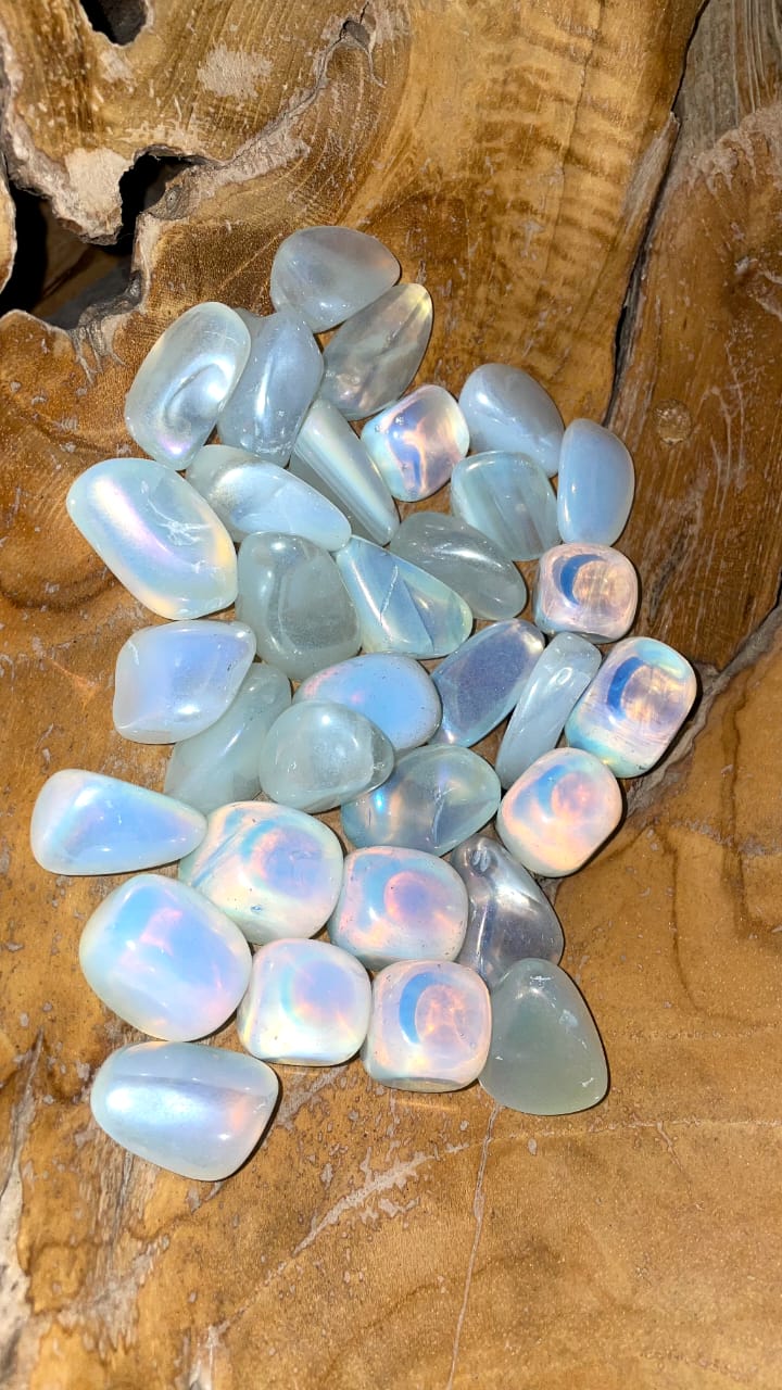 OPAL