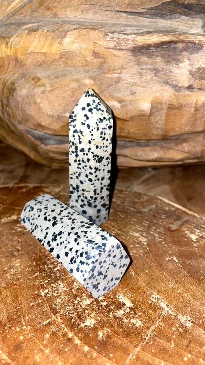 DALMATION JASPER