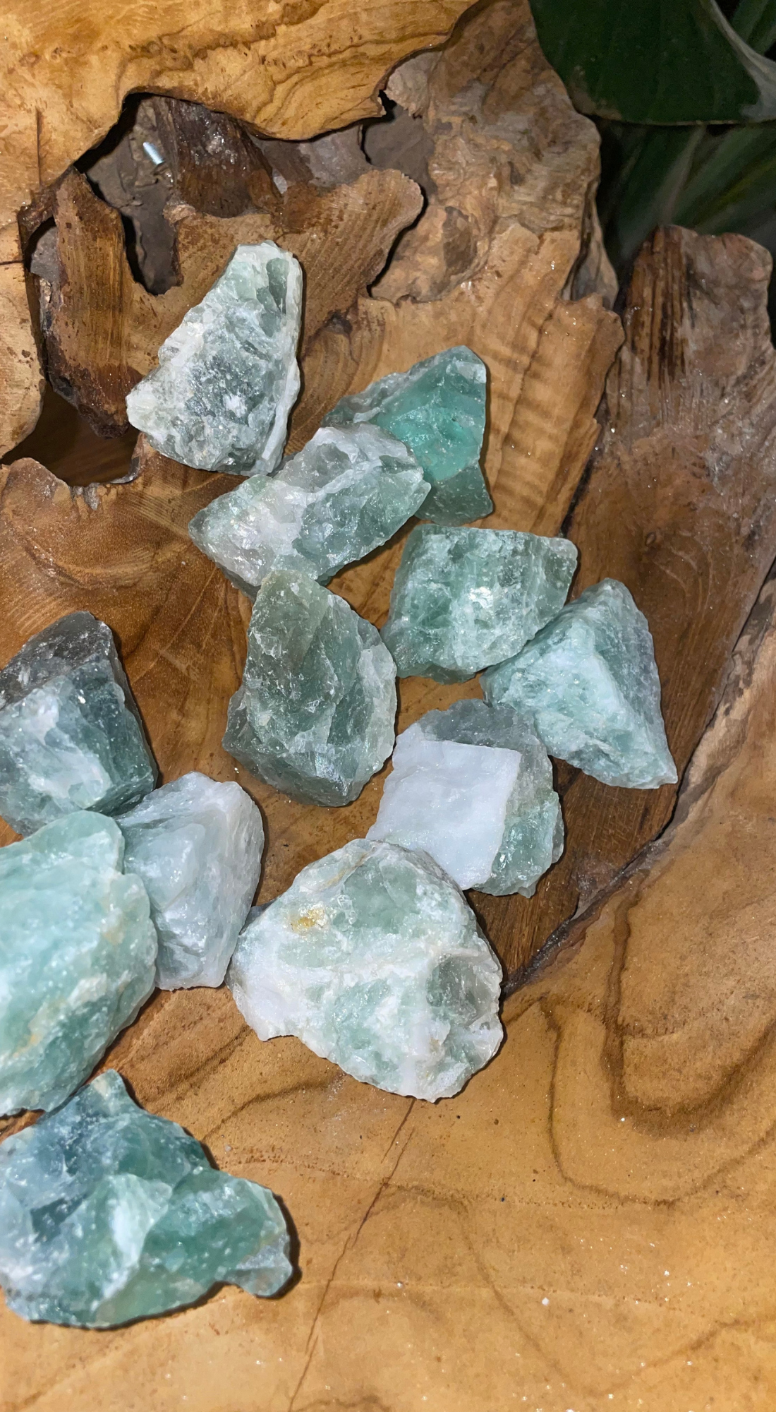 COOL MEDIUM GREEN FLUORITE