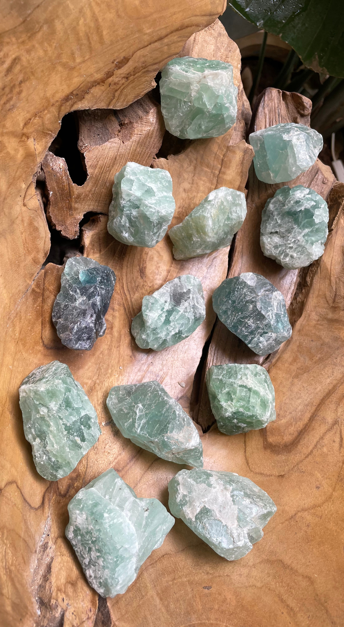 COOL LARGE GREEN FLUORITE