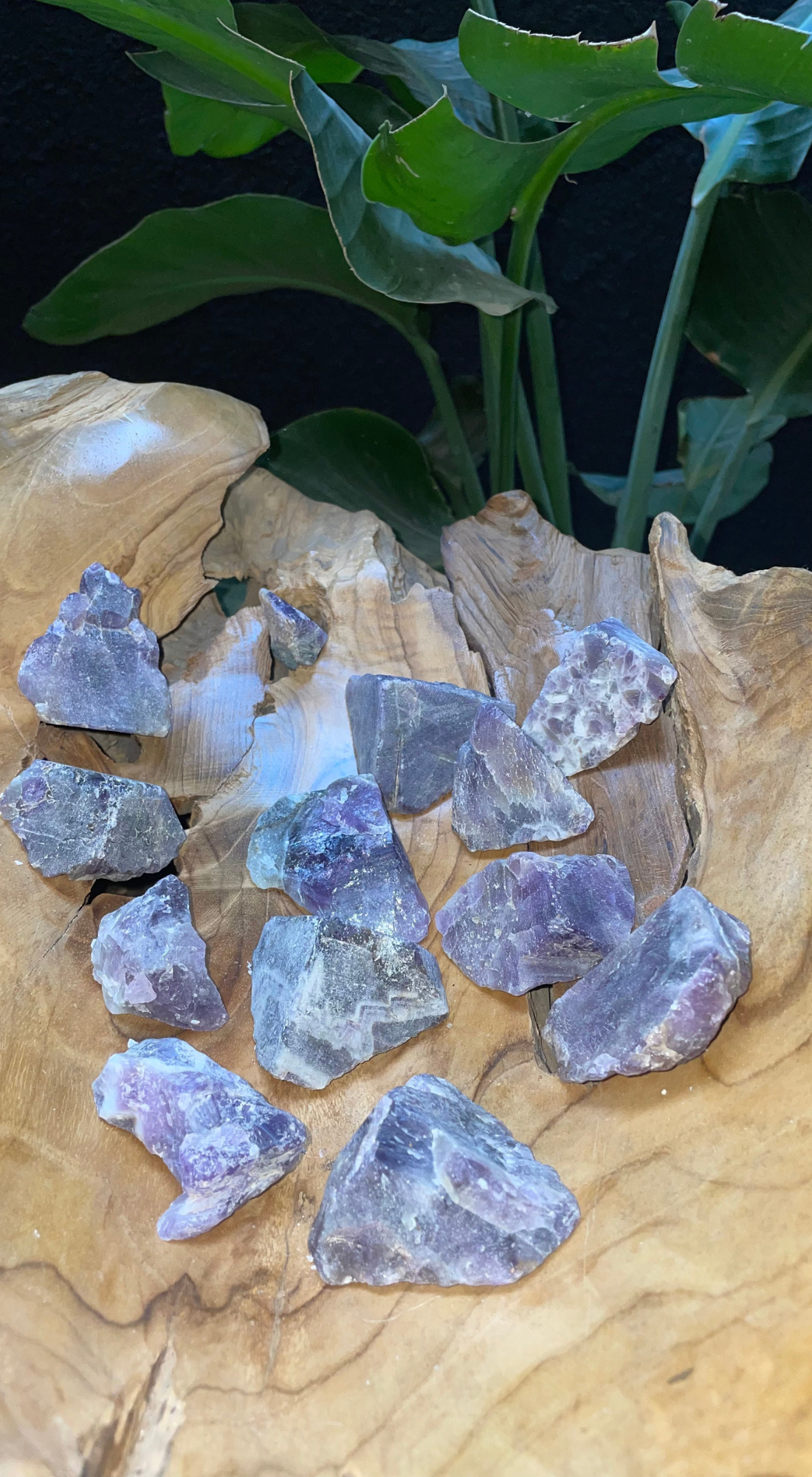 PURPLE & WHITE LARGE AMETHYST