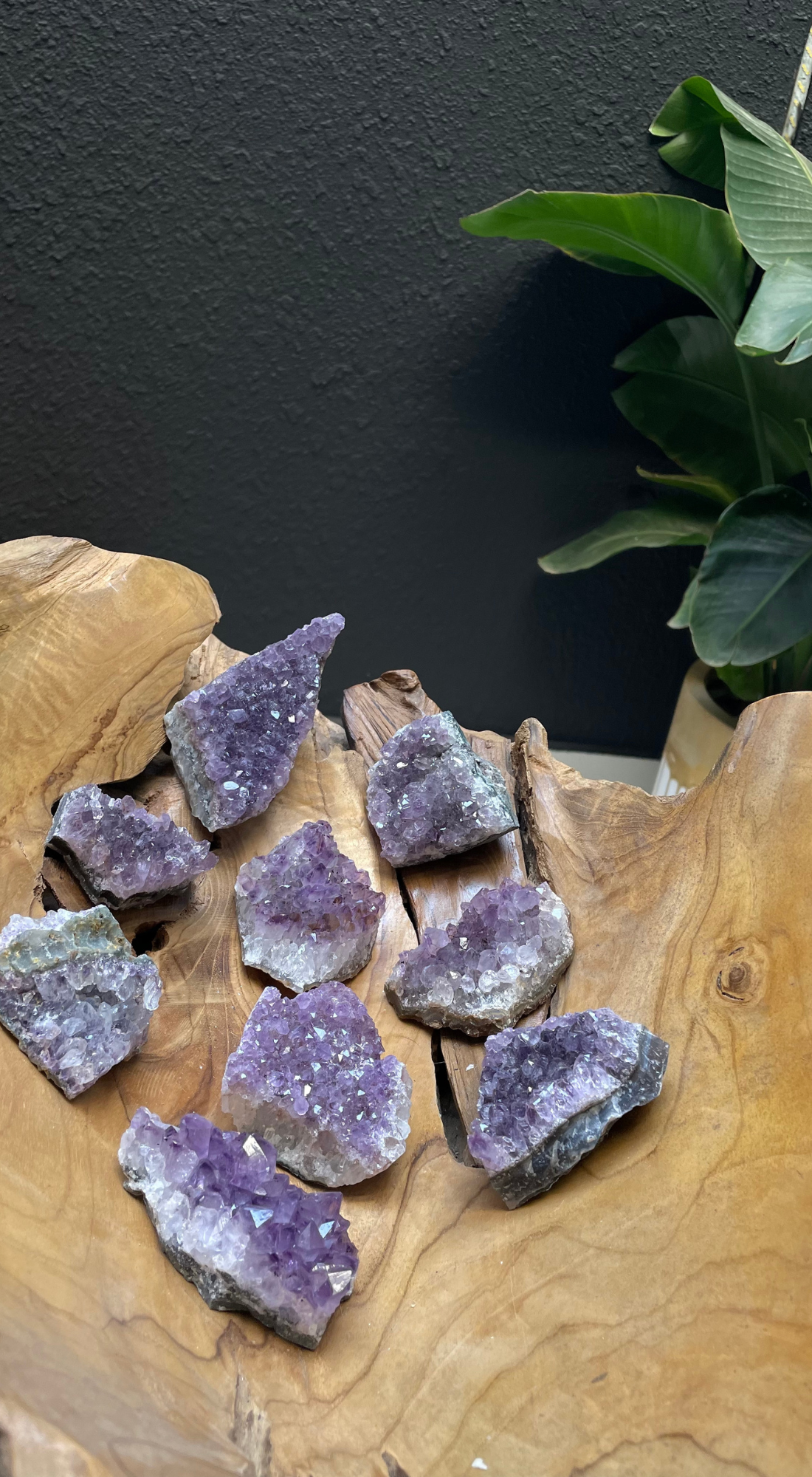 GLOSSY PURPLE LARGE AMETHYST