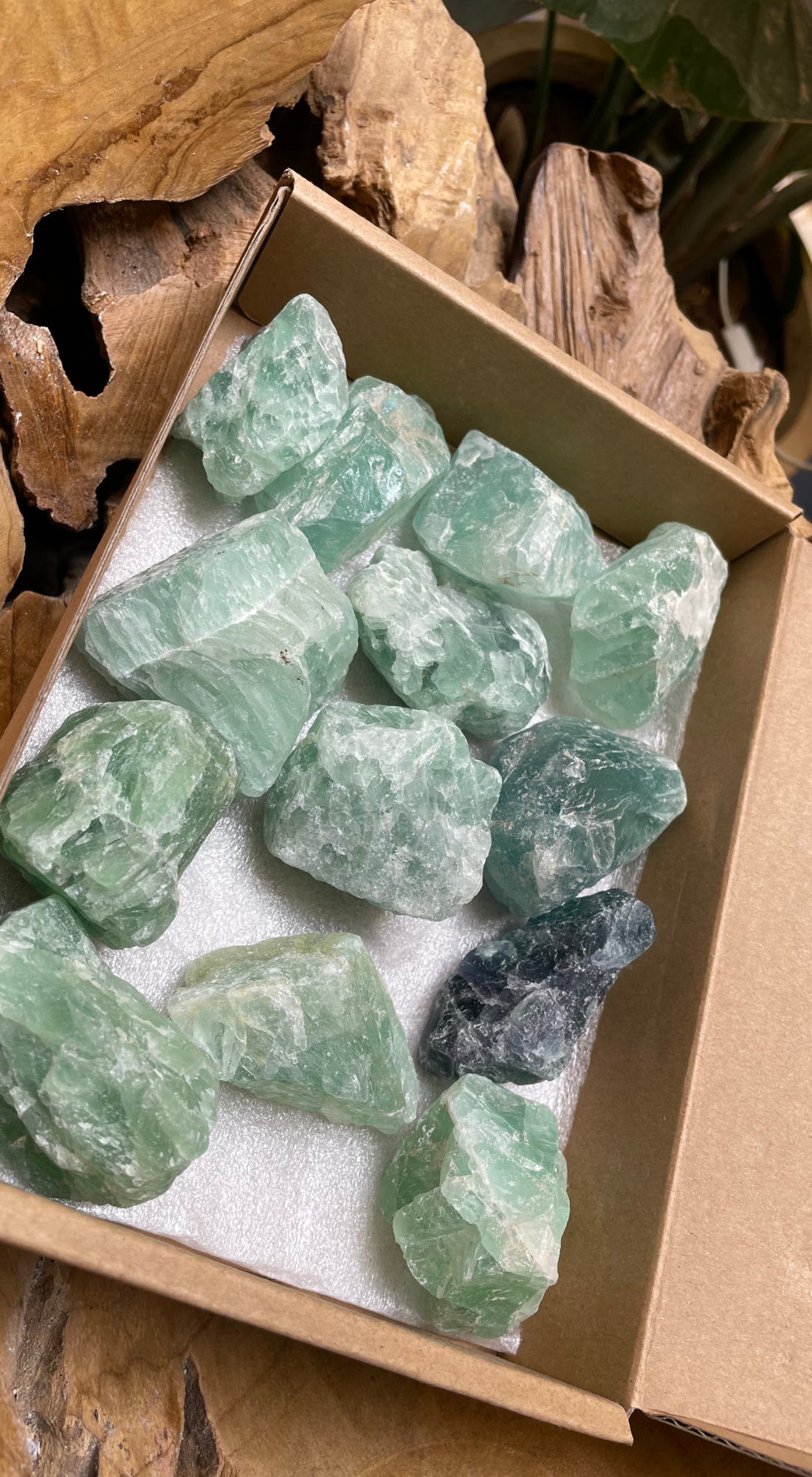 COOL LARGE GREEN FLUORITE