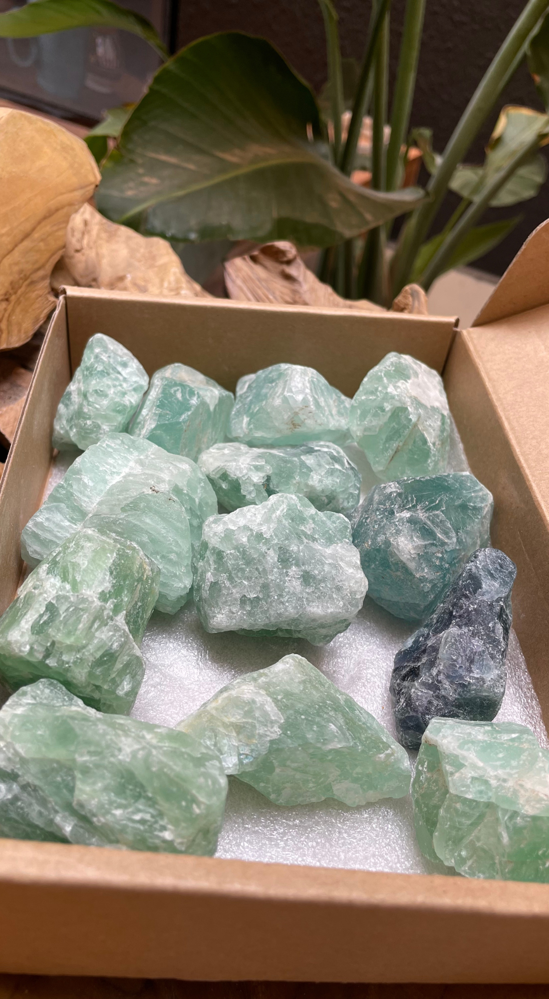 COOL LARGE GREEN FLUORITE