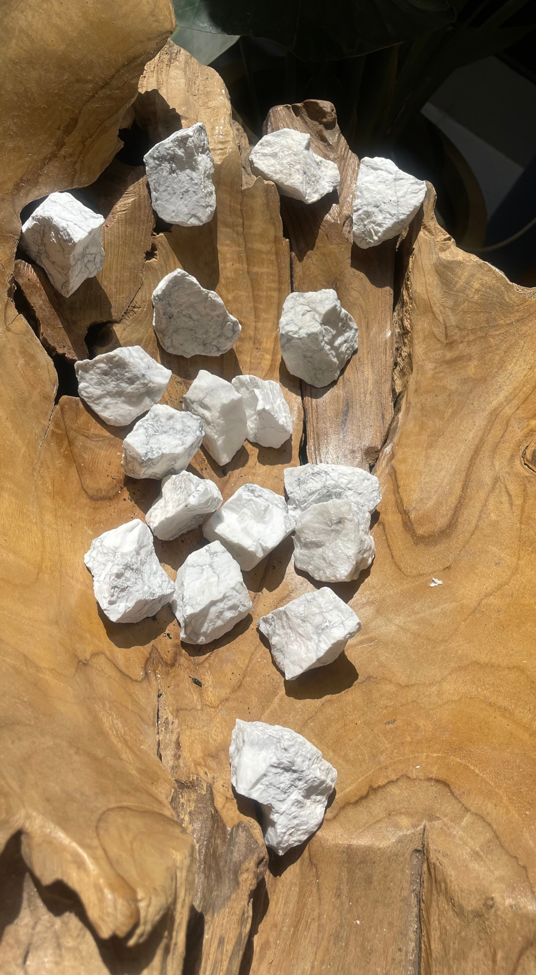 MEDIUM HOWLITE