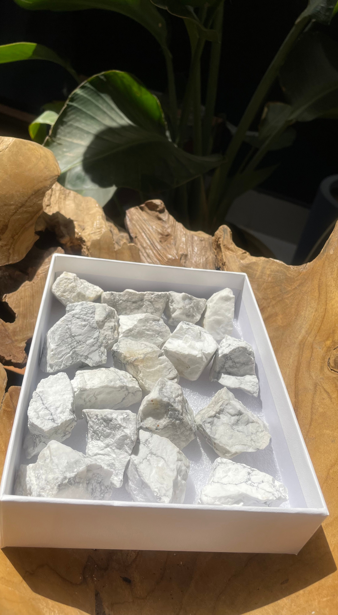 MEDIUM HOWLITE