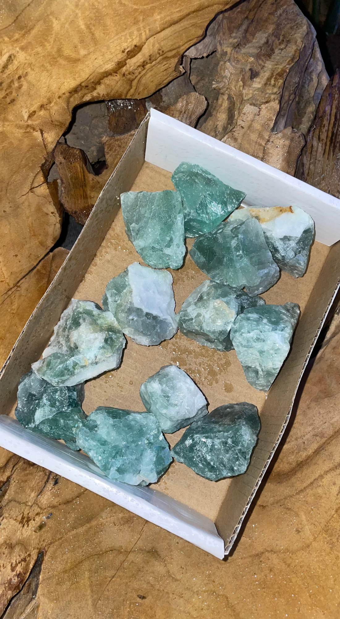 COOL MEDIUM GREEN FLUORITE