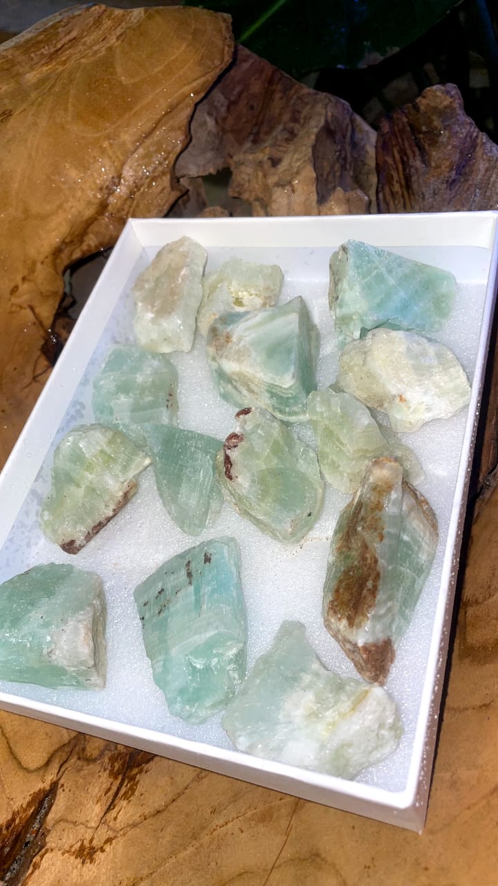 CARIBBEAN JASPER