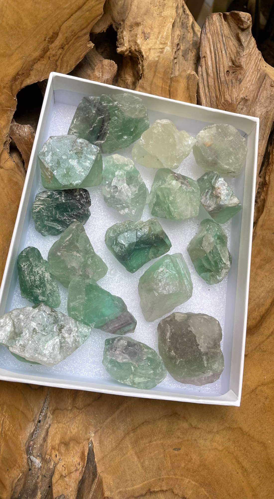 MEDIUM GREEN MICA