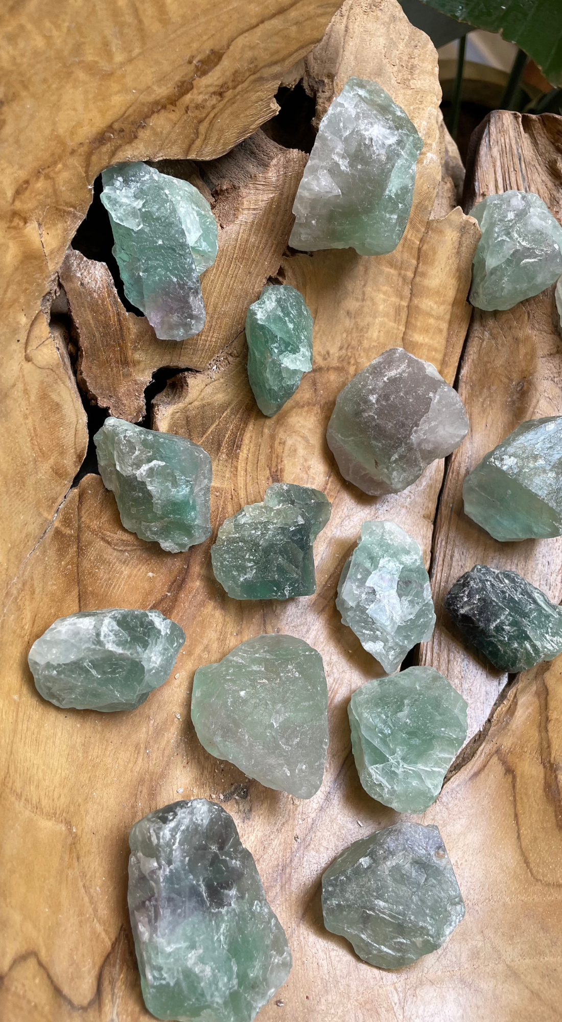 MEDIUM GREEN MICA