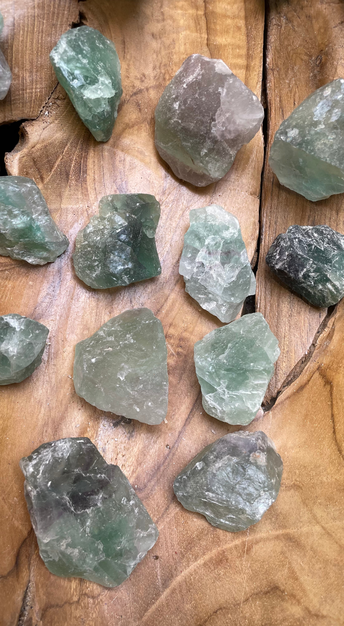 MEDIUM GREEN MICA