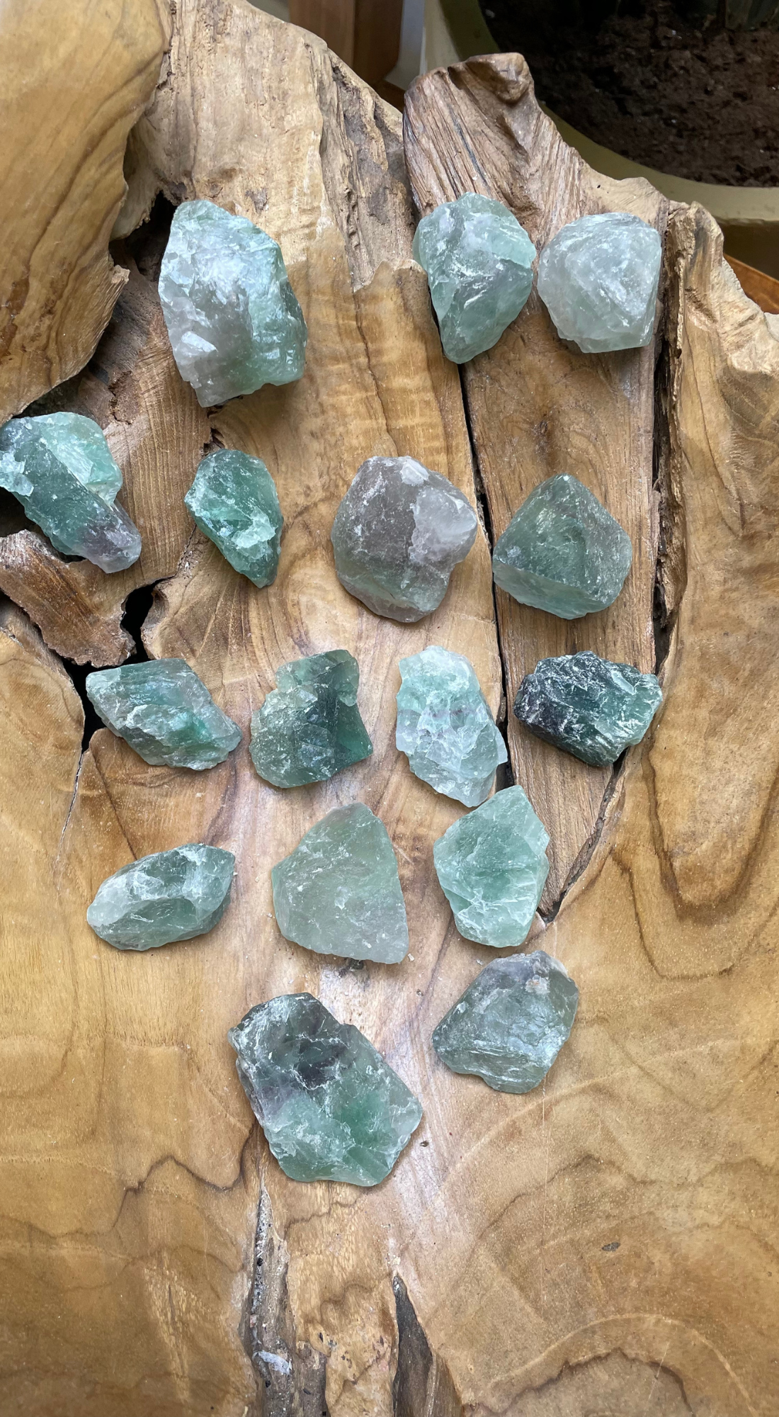 MEDIUM GREEN MICA