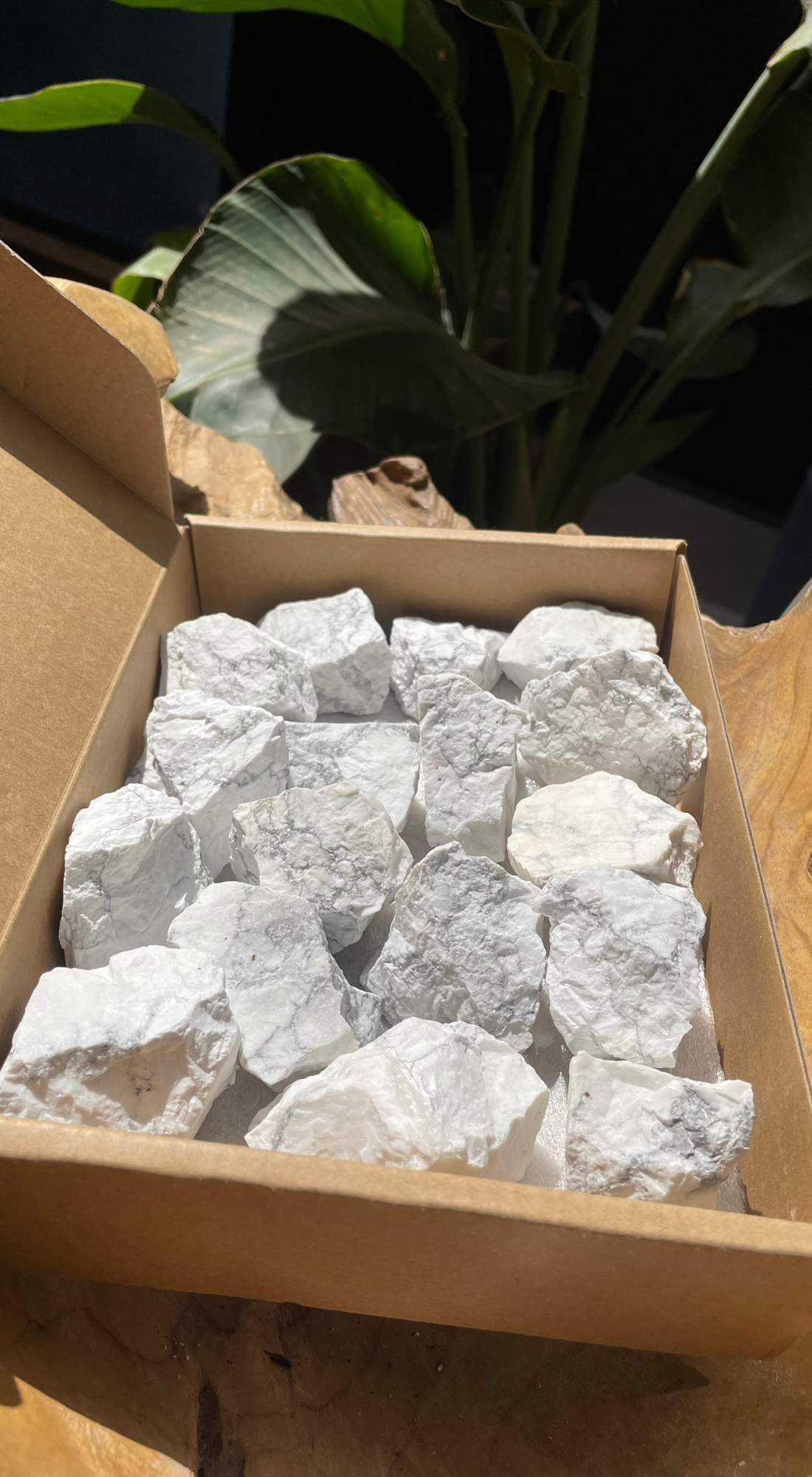 MEDIUM WHITE HOWLITE