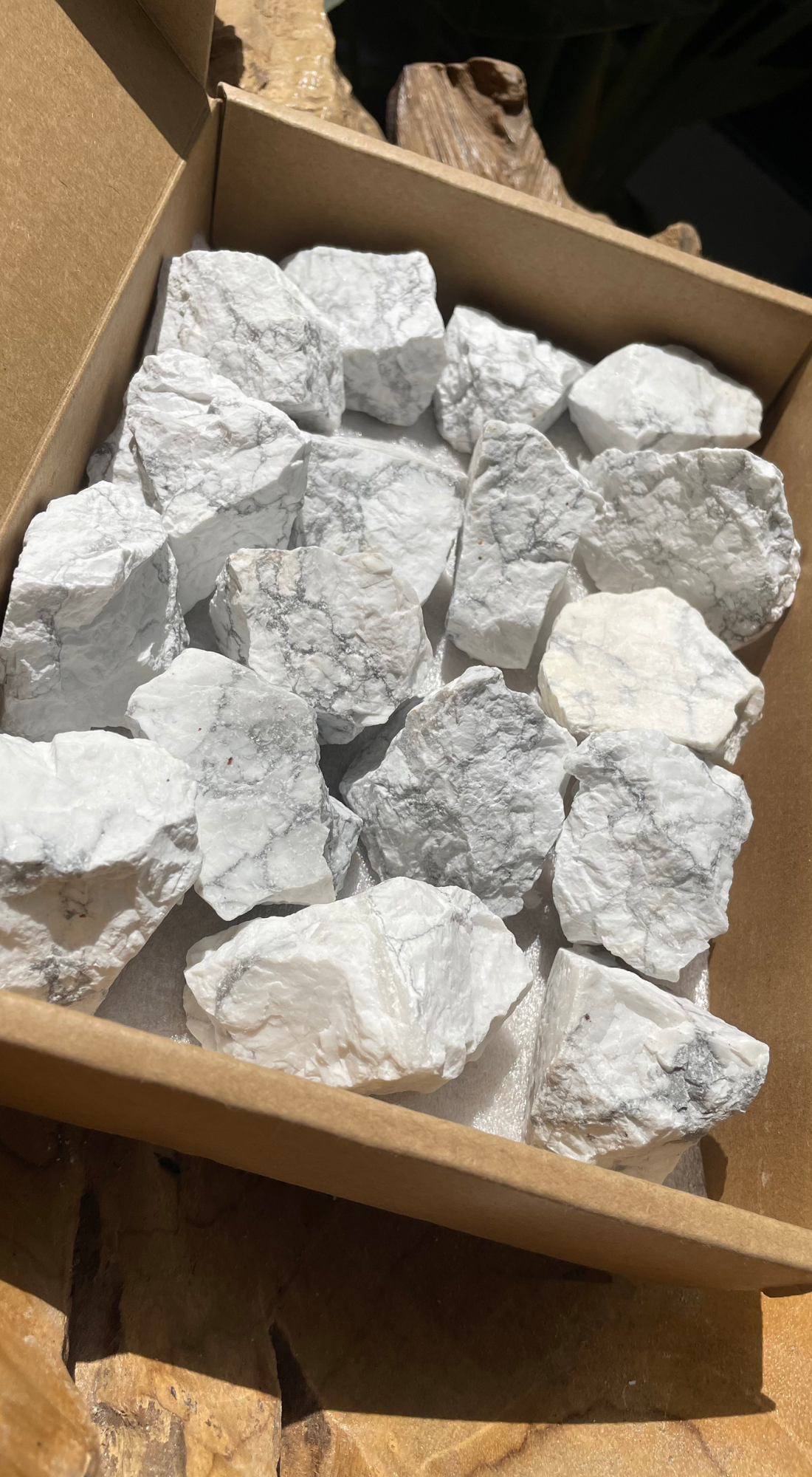 MEDIUM WHITE HOWLITE